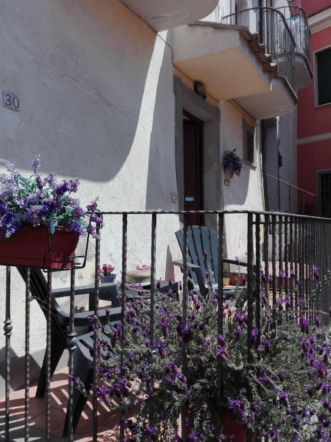 Apartamento Il Palazzetto Sulla Francigena Formello Exterior foto